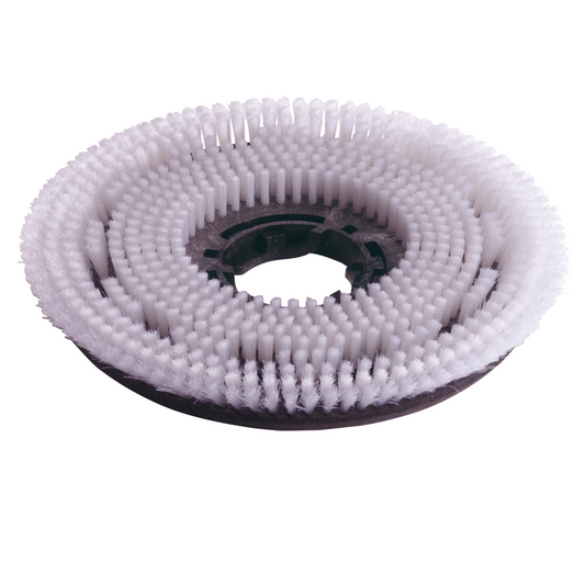 Numatic 2 spazzole in nylon da 220 mm (NUC244NX/TTB420) | Confezione (1 pezzo)