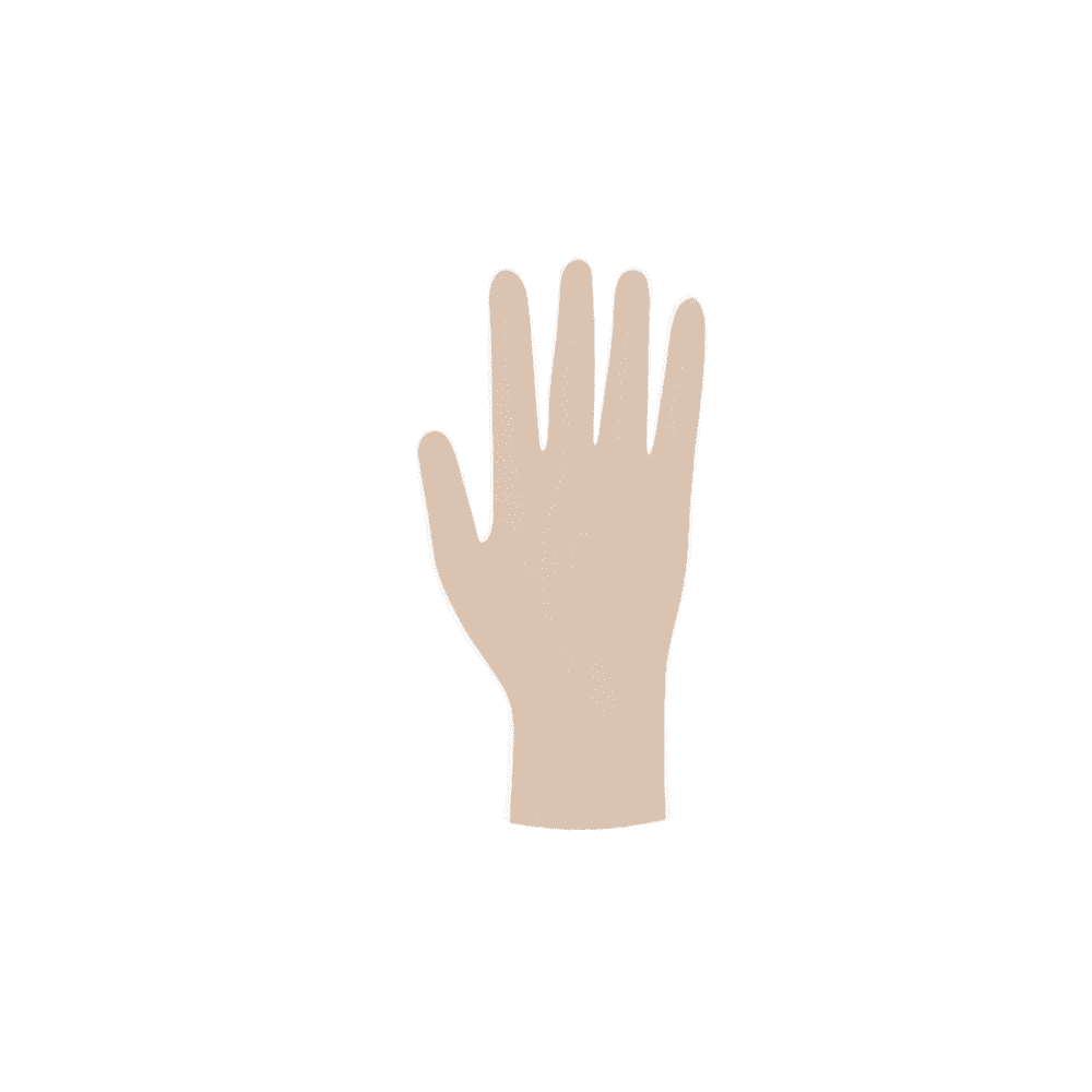 Illustrazione di una mano umana in posizione neutra con le dita distese, raffigurata in uno stile grafico piatto con guanti monouso sterili Meditrade Copolymed®.