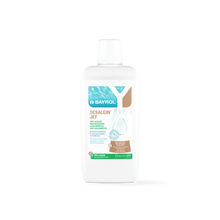 BAYROL Desalgin® JET Alghicida concentrato affidabile contro tutti i tipi di alghe