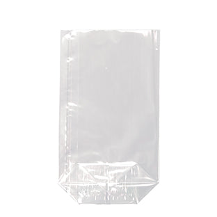 Il sacchetto Starpak 10 in PP trasparente è un sacchetto rettangolare trasparente con fondo piatto di Starpak, ideale per imballaggi versatili e mostrato su uno sfondo bianco.
