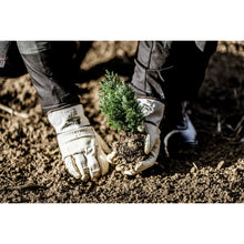 Guanti NITRAS in pelle bovina pieno fiore, colore naturale/marrone, cotone EN 388 | Confezione (12 paia)