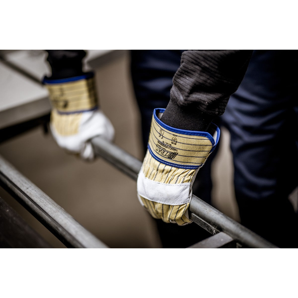 NITRAS POSEIDON, guanti in pelle bovina pieno fiore, giallo/righe blu/grigio, cotone EN 388 | Confezione (12 paia)