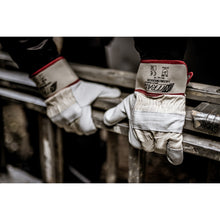 NITRAS MERKUR, guanti in pelle bovina pieno fiore, colore naturale/grigio, cotone EN 388 | Confezione (12 paia)