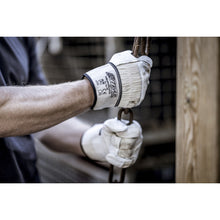 NITRAS PLUTO, guanti in pelle bovina pieno fiore, colore naturale/grigio, cotone EN 388 | Confezione (12 paia)