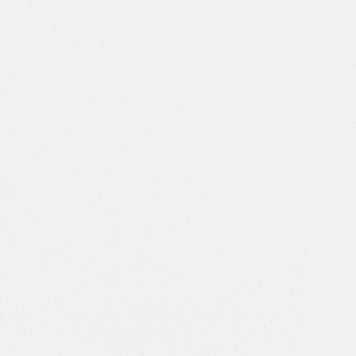 Una superficie bianca semplice e strutturata con un sottile motivo a rombi, che ricorda i PAPSTAR di 250 tovaglioli, 3 veli, piega 1/4 della PAPSTAR GmbH. L'immagine ha un'illuminazione uniforme e un aspetto pulito, senza oggetti o colori riconoscibili.