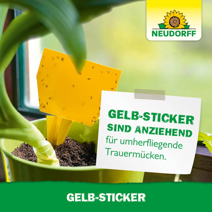 Ein Neudorff Shop Gelb-Sticker, bedeckt mit kleinen fliegenden Insekten, ist in einer Zimmerpflanze in der Nähe eines Fensters platziert. Auf einem Etikett neben dem Topf steht: "Gelb-Sticker sind anziehend für umherfliegende Trauermücken.