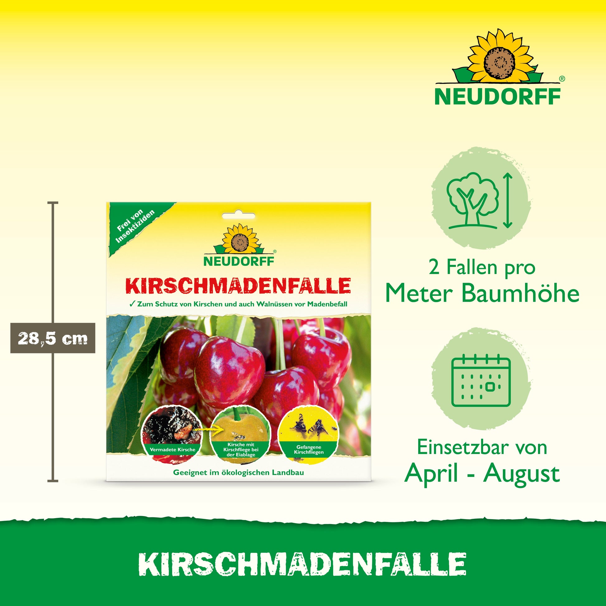Die Verpackung der Neudorff Shop KirschmadenFalle zeigt Kirschen und die Falle - perfekt, um Ihre Kirschenernte vor Fruchtfliegen zu schützen. Verwenden Sie 2 Fallen pro Meter Baumhöhe von April bis August. Höhe der Verpackung: 28,5 cm.