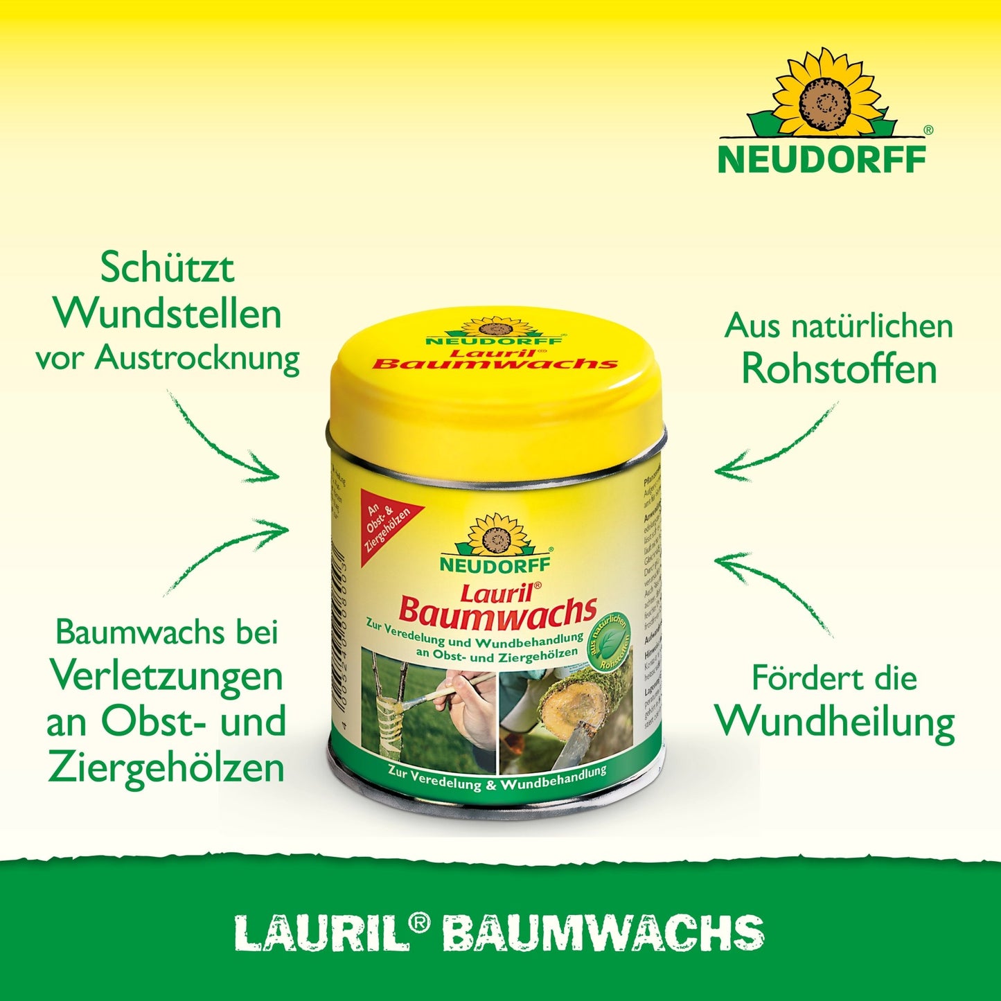 Nell'immagine è raffigurato un contenitore giallo-verde di "Lauril Cera per Alberi" del Neudorff Shop. Questa cera vegetale protegge e guarisce gli alberi da frutto. Il testo tedesco evidenzia gli ingredienti naturali.
