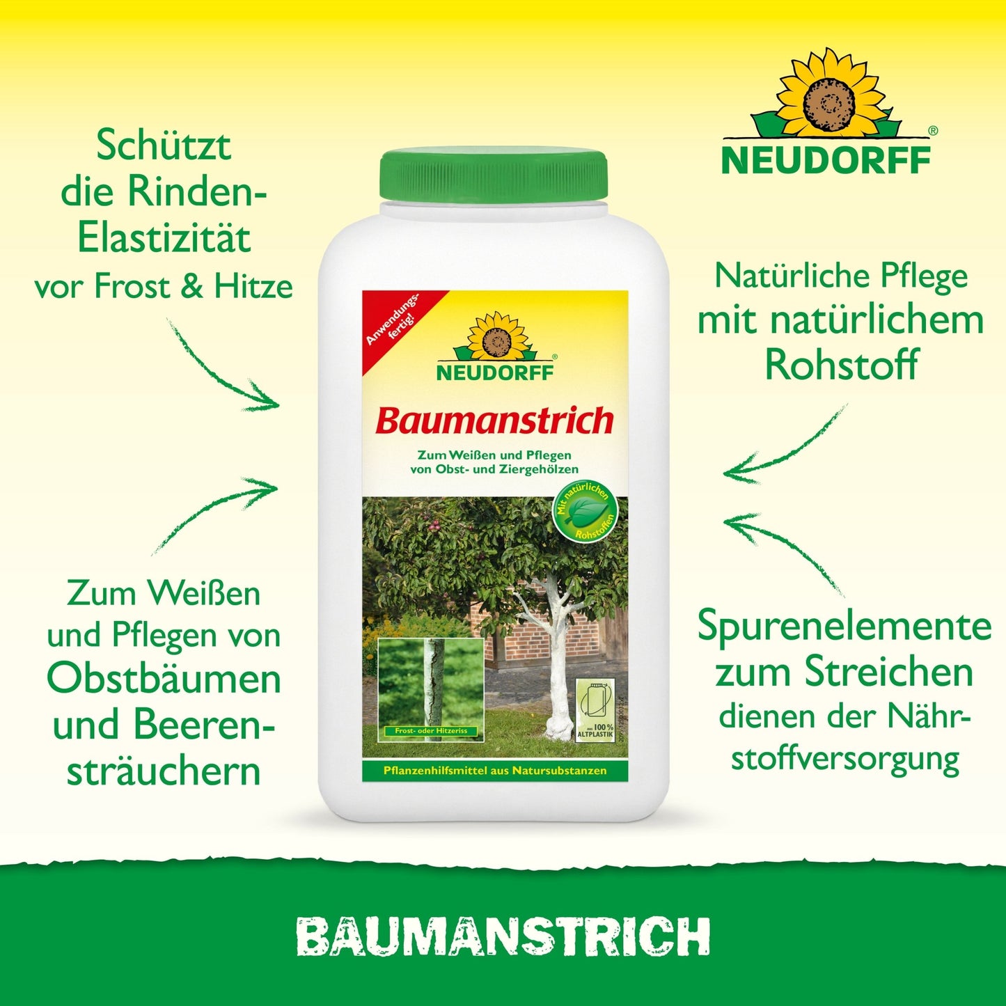 Vernice organica per alberi