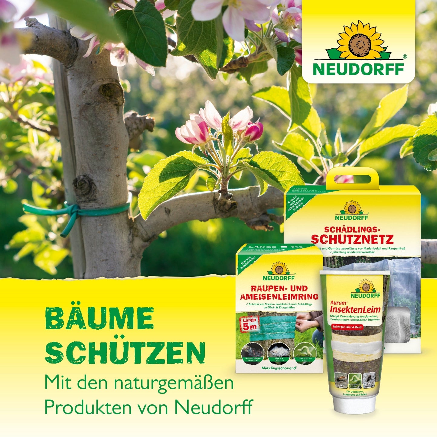 Vernice organica per alberi