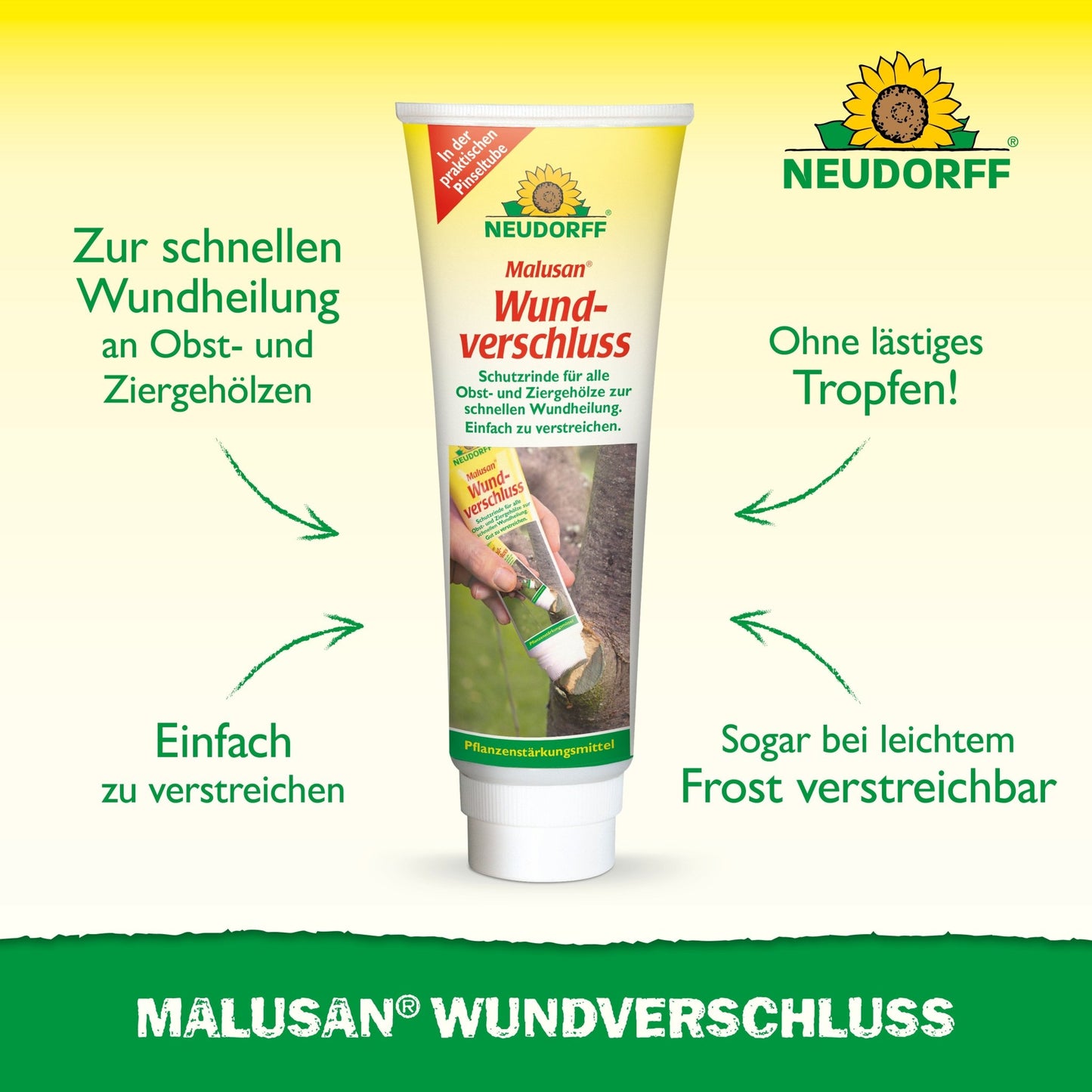 Un tubo di Malusan Cicatrizzante di Neudorff Shop è in piedi su una superficie bianca ed è decorato con grafiche verdi e gialle. Il testo tedesco evidenzia la rapida guarigione delle ferite da taglio sulle piante legnose dopo la potatura e la facilità d'uso.