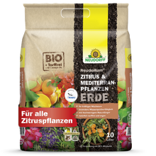 NeudoHum Terreno per agrumi e piante mediterranee