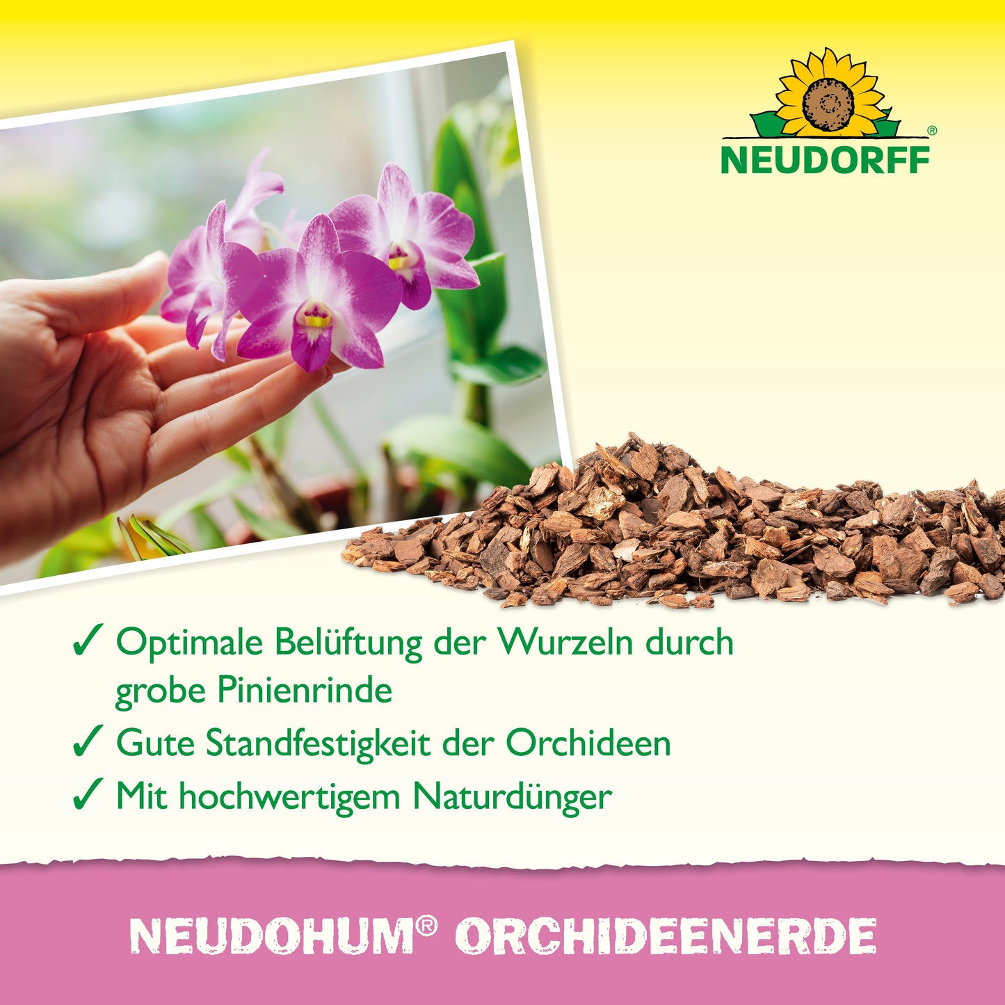 Eine Hand hält eine blühende Orchidee in der Nähe eines Fensters, davor liegt grobe Pinienrinde. Der Text zeigt die NeudoHum OrchideenErde aus dem Neudorff Shop - perfekt für die Orchideenpflege, Wurzelbelüftung und als natürlicher Dünger beim Umtopfen.