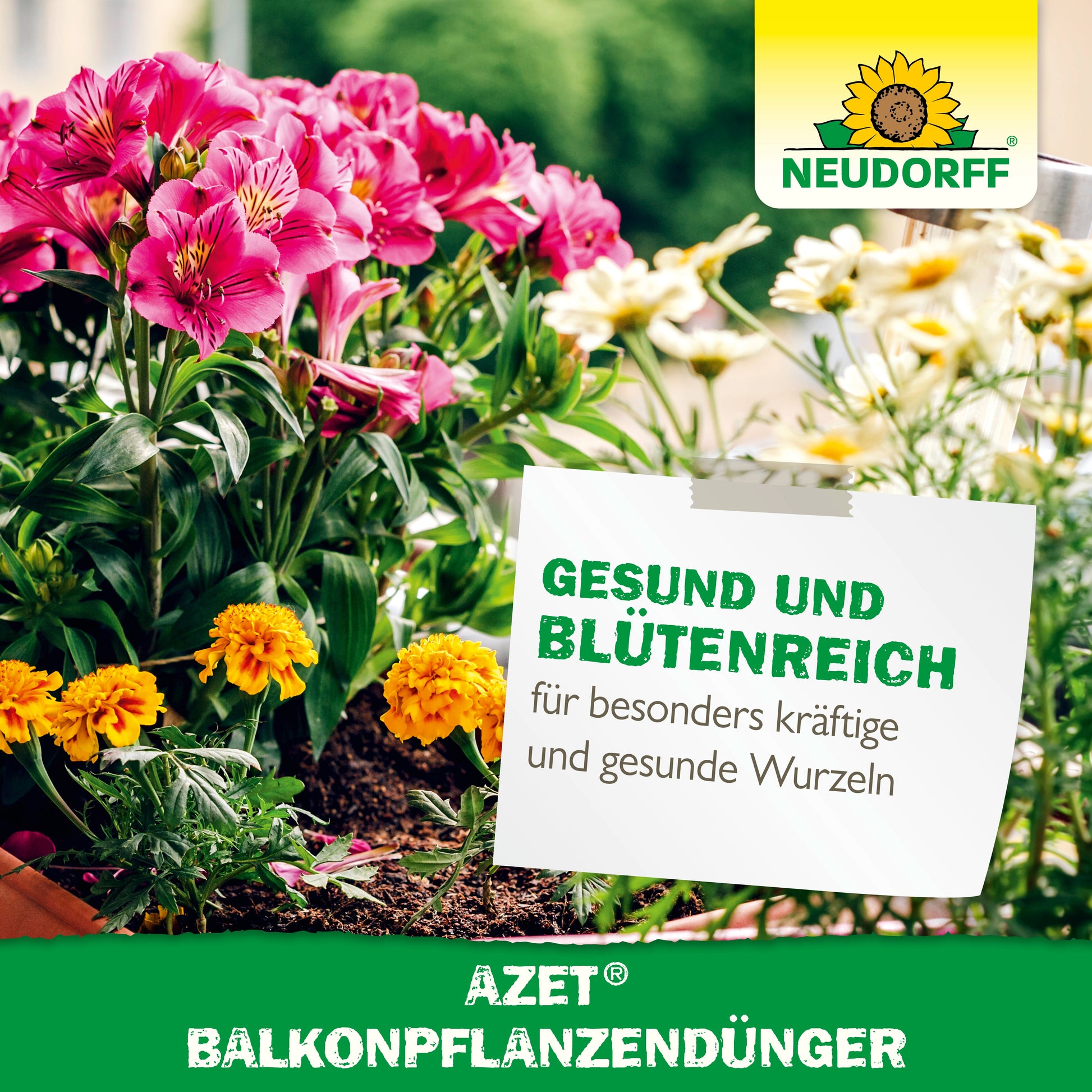 Rosa und gelbe Sommerblumen blühen in Balkonkästen mit einem Schild: &quot;Gesund und Blütenreich für besonders kräftige und gesunde Wurzeln&quot;. Die Logos von Neudorff Shop Azet BalkonpflanzenDünger und organischer Volldünger sind sichtbar.