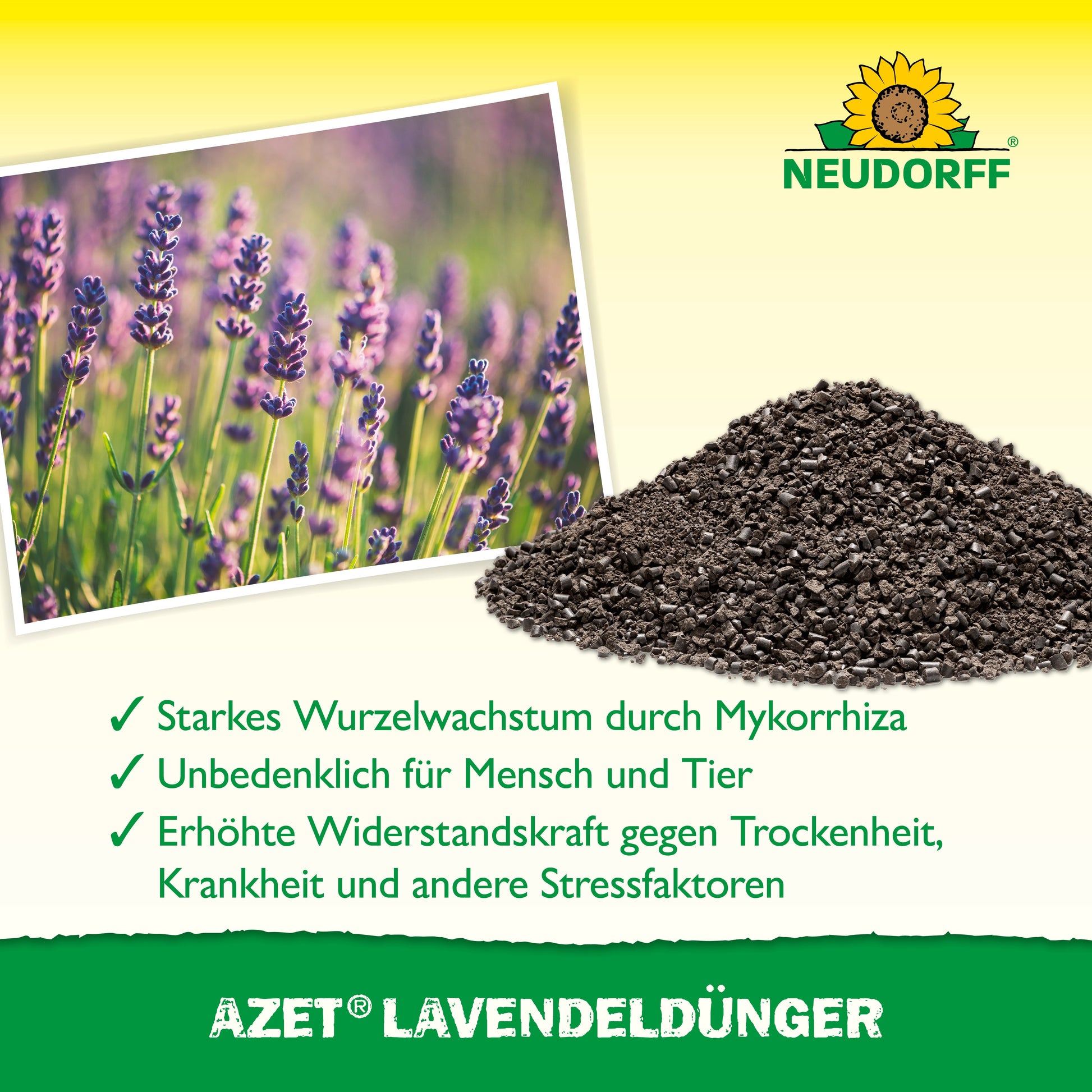 Azet LavendelDünger von Neudorff Shop liegt als Granulat neben Lavendel mit blau-lila Blüten. Deutscher Text hebt die Vorteile hervor, oben rechts ist das Neudorff-Sonnenblumen-Logo zu sehen.