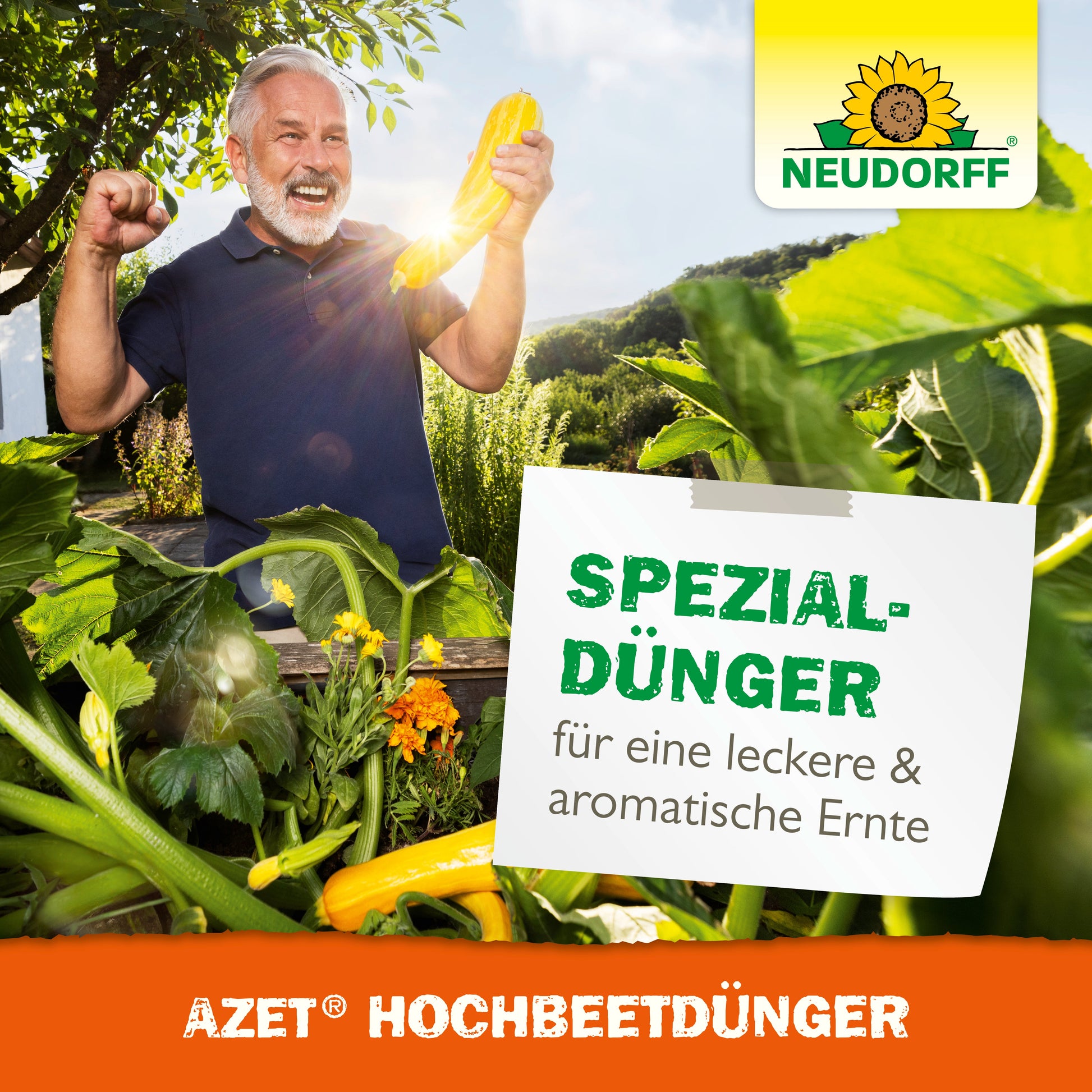 Ein älterer Mann mit grauem Haar und Bart feiert in einem üppigen Hochbeet-Garten und hält eine gelbe Zucchini in der Hand. Auf einem Schild steht "Spezial-Dünger für eine leckere & aromatische Ernte". Neudorff Shop Azet HochbeetDünger flüssig Logo oben rechts.