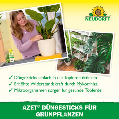 Eine Frau drückt einen Azet Düngestick für Grünpflanzen aus dem Neudorff Shop in die Pflanzenerde. Ein weiteres Foto zeigt gesundes grünes Laub, während Icons das Nährstoffdepot und die Vorteile dieser Düngesticks für Grünpflanzen hervorheben.