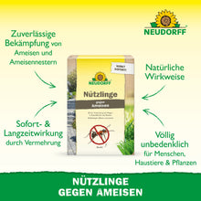 In der Mitte steht eine "Nützlinge gegen Ameisen"-Box von Neudorff Shop mit grünem und gelbem Branding. Der deutsche Text erklärt, dass Nematoden Ameisennester effektiv und natürlich, sicher für Menschen, Tiere und Pflanzen bekämpfen.