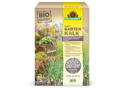 Tiglio da giardino Azet