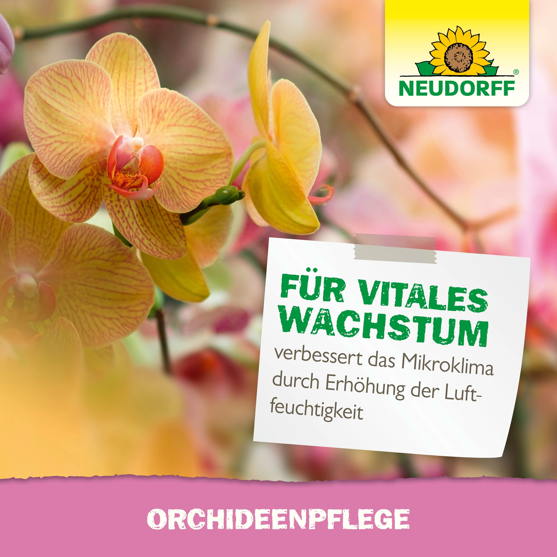 Mehrere gelb-orange blühende Orchideen sind aus der Nähe zu sehen. Ein deutsches Schild wirbt für die OrchideenPflege von Neudorff Shop und hebt das verbesserte Wachstum und die erhöhte Feuchtigkeit hervor. Das Neudorff-Logo erscheint oben rechts.