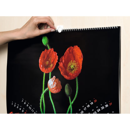 tesa Powerstrips Bilder-Nagel, weiß – Anwendung