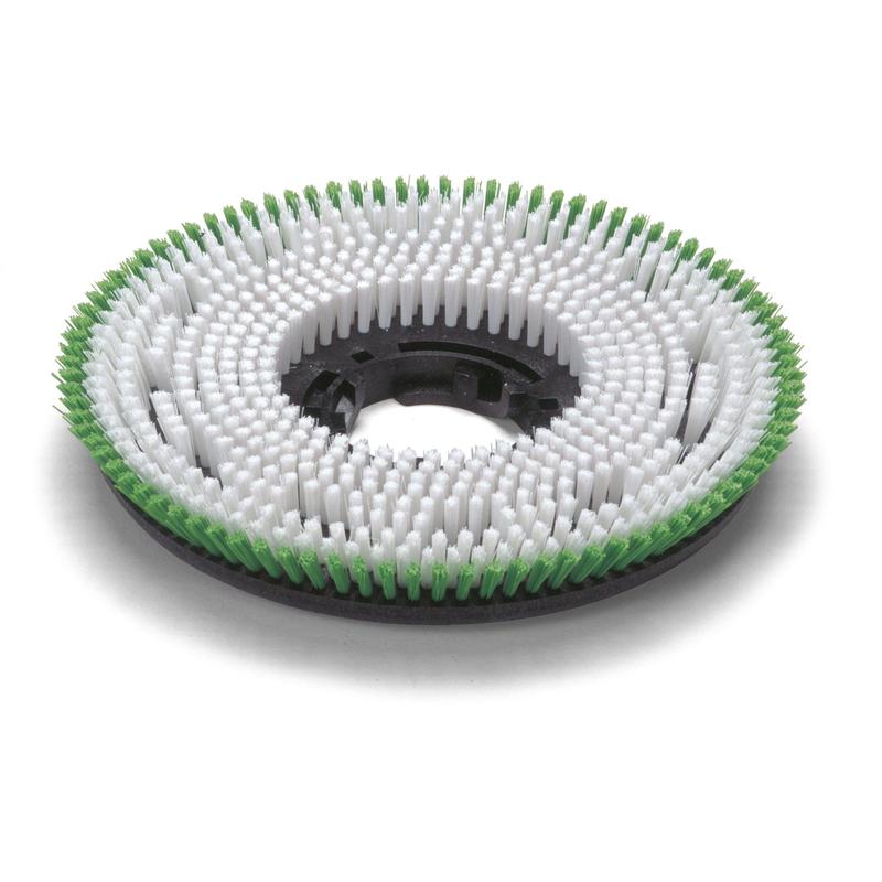 Spazzola Numatic Octo PPN 0,6 mm 300 mm per TTV678/TVL850 | Confezione (1 pezzo)