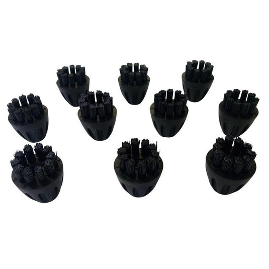 Dieci spazzole identiche in nylon nero per il TASKI Steamer della Diversey Deutschland GmbH & Co. OHG (confezione da 10 pezzi) sono disposte su uno sfondo bianco e presentano setole corte e rigide raggruppate in ciuffi per garantire una maggiore efficacia di pulizia.