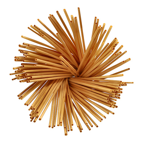 Un fascio di cannucce "pure" della PAPSTAR (Ø 4 mm, 23 cm, 150 pezzi) della PAPSTAR GmbH si apre a ventaglio su uno sfondo bianco in modo circolare e ricorda gli spaghetti crudi, disposti come cannucce ecologiche.