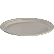 Ein ovaler, weißer Bagasse Teller (20 x 26 cm) von Abena Re-Seller GmbH, fotografiert vor weißem Hintergrund. Dieser umweltfreundliche Teller kommt in einer Packung von 50 Stück und ist ideal für umweltbewusste Veranstaltungen.