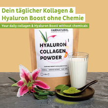 Polvere ialuronica al collagene