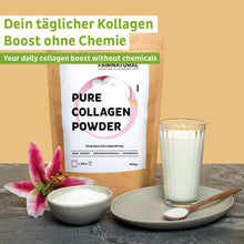 Polvere di collagene idrolizzato