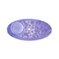 Deodorante per ambienti FRE-PRO Remind Air Curve con indicatore di sostituzione, versione Fabulous