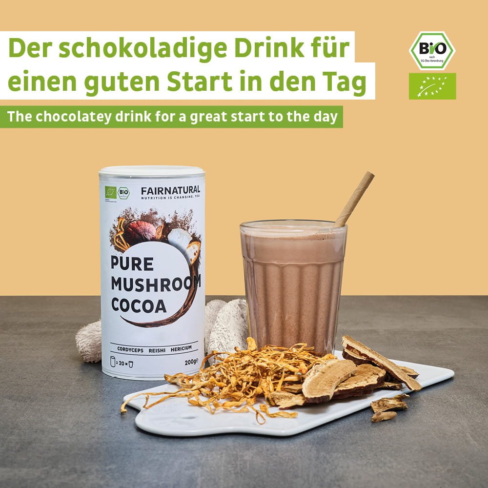 Cacao in polvere biologico ai funghi