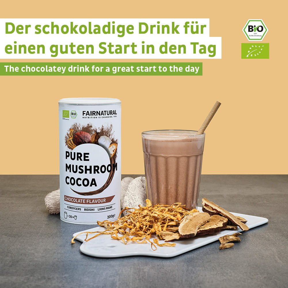 Cacao in polvere biologico ai funghi