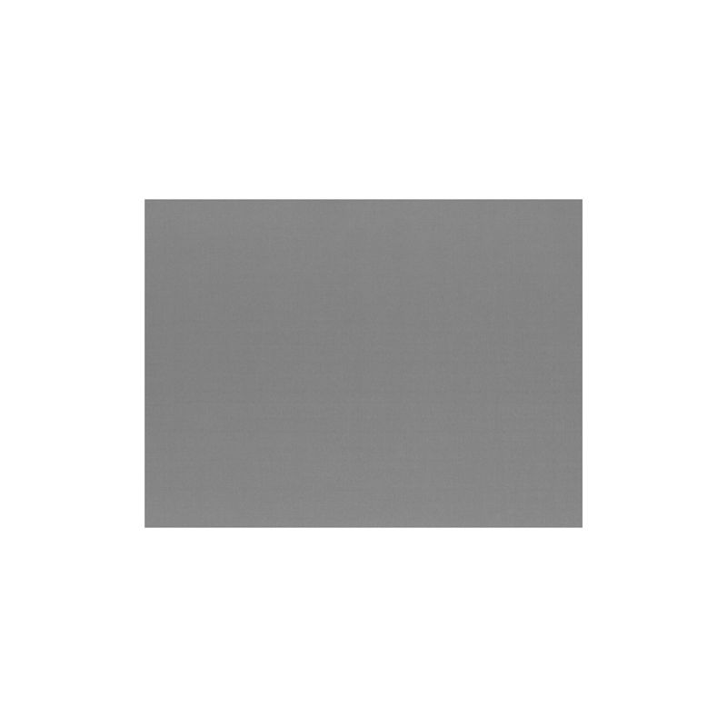 Un semplice tovaglietta di carta grigia a tinta unita PAPSTAR 100 (30 x 40 cm) della PAPSTAR GmbH è centrato su uno sfondo bianco e non presenta motivi, strutture o caratteristiche particolari.