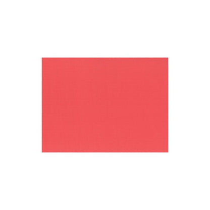 Le PAPSTAR 100 tovagliette (carta, 30 x 40 cm) della PAPSTAR GmbH sono di colore rosso uniforme e centrate su sfondo bianco - ideali come tovagliette di carta ecologiche.