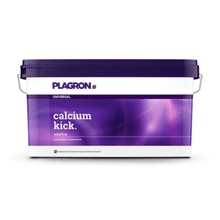 Un contenitore rettangolare in plastica da 10 kg prodotto da Bertels B.V., recante la scritta «Plagron Calcium Kick», è dotato di un coperchio viola e di una maniglia con sfumatura di colore; questo ammendante minerale migliora la struttura del terreno e agisce come regolatore del pH.