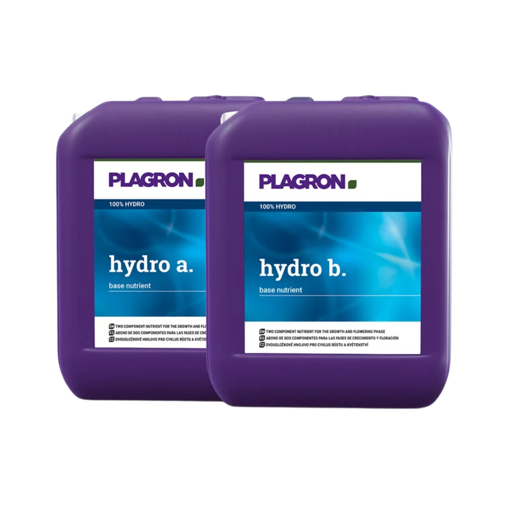 Due contenitori da 5 litri Plagron Hydro A + B di Bertels B.V. con etichette blu-bianche sono posti uno accanto all'altro su sfondo bianco – un fertilizzante a due componenti, ideale per la fase di fioritura delle vostre piante.