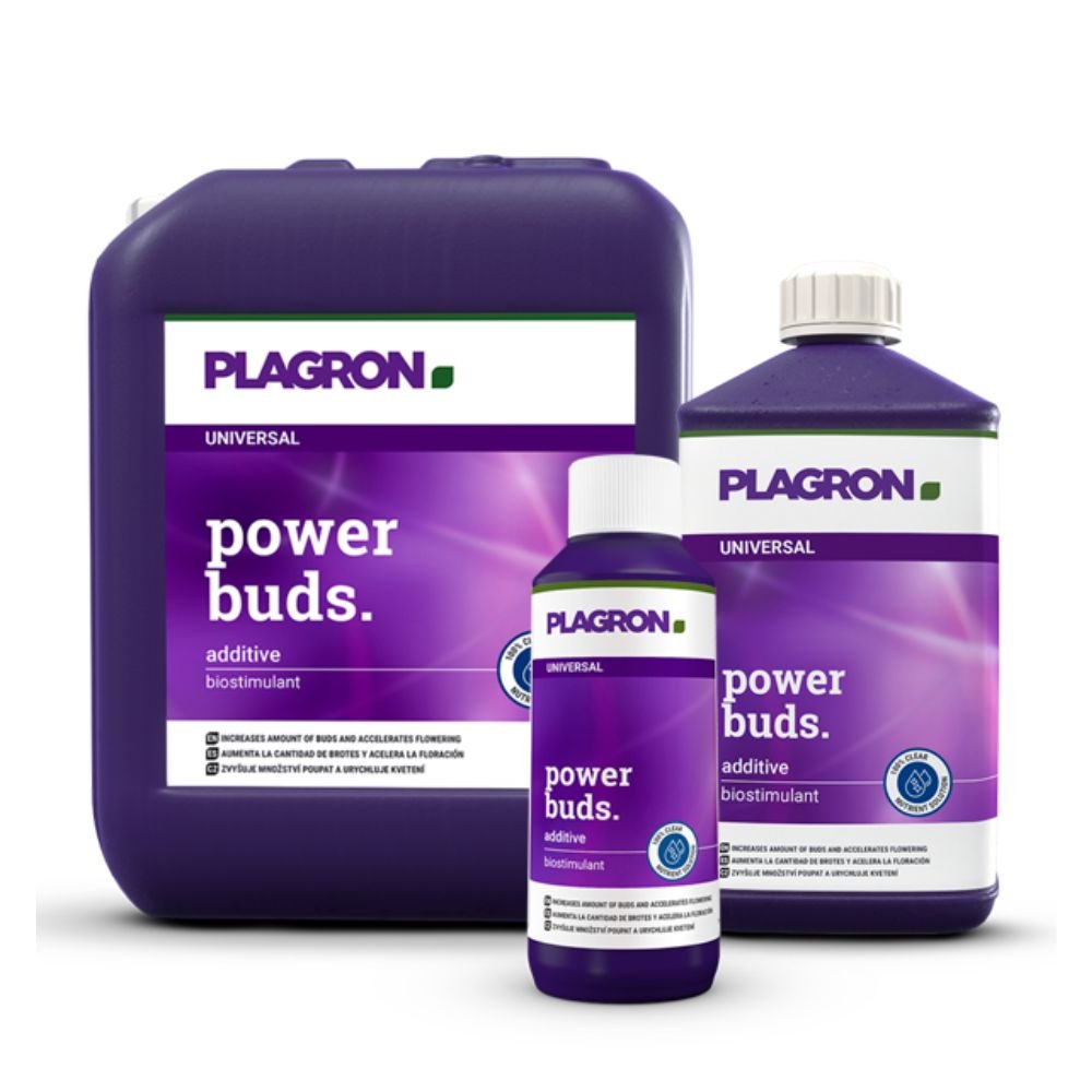 Sono raffigurati tre contenitori del biostimolatore Plagron Power Buds di Bertels B.V. con etichette viola e testo bianco per promuovere la fioritura: il più grande a sinistra, il medio a destra e il più piccolo al centro.