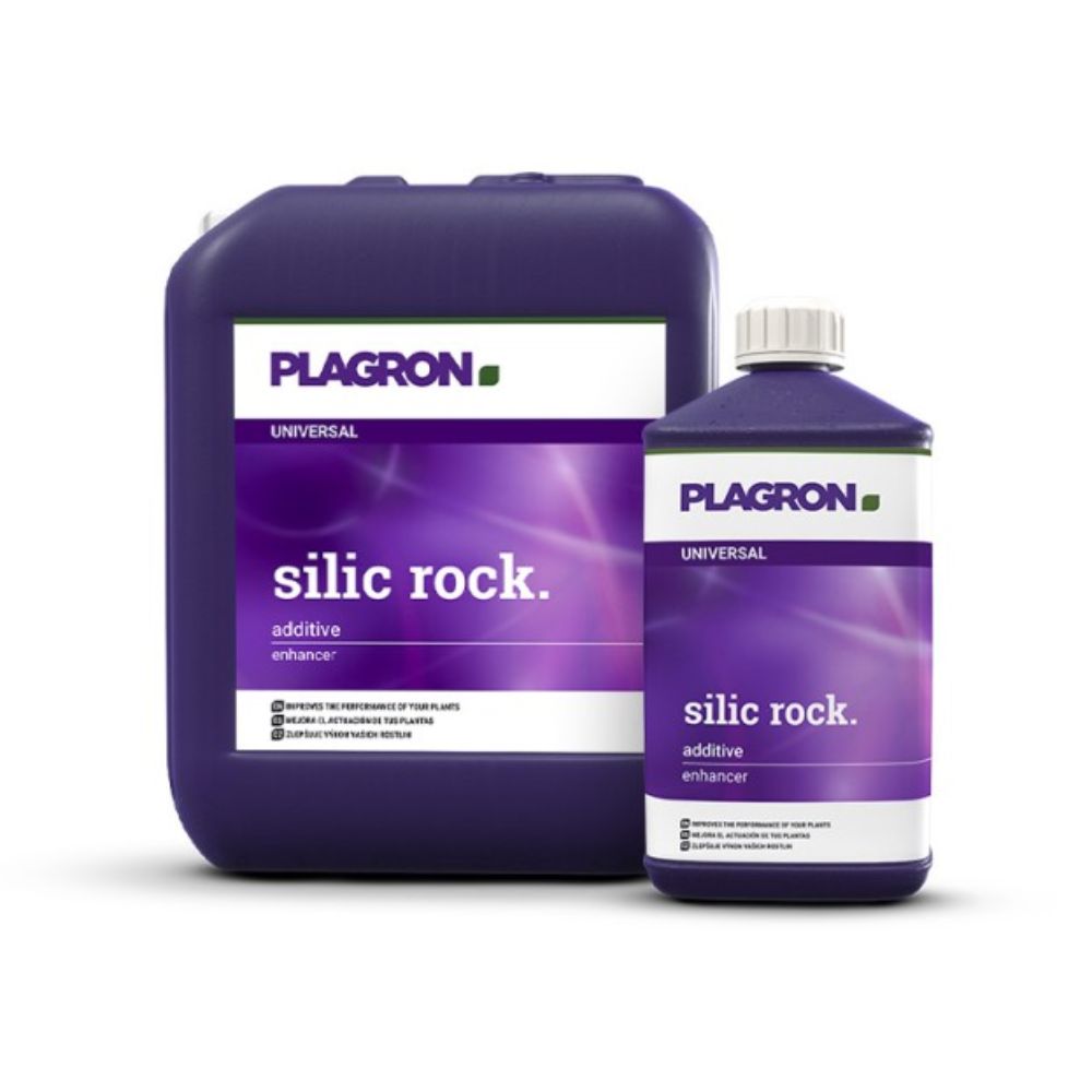 Due contenitori Plagron Silic Rock di Bertels B.V. sono raffigurati: un grande contenitore viola scuro a sinistra e una bottiglia più piccola a destra, entrambi con l'etichetta "Fertilizzante al silicio". Le loro etichette viola con testo bianco sottolineano il loro ruolo nel migliorare la resistenza delle piante e l'assorbimento dei nutrienti.