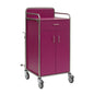 Il carrello di stazione Novocal con un telaio in acciaio inossidabile, un cassetto superiore, due porte inferiori e quattro ruote piroettanti è ideale per gli ospedali. È di colore viola, dispone di giunzioni tubolari completamente saldate ed è raffigurato su uno sfondo bianco semplice.