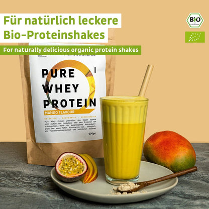Mango in polvere di proteine del siero di latte biologico