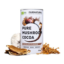 Cacao in polvere biologico ai funghi
