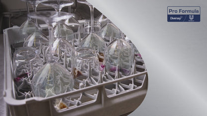 Sun Professional Acqua più reale per Hartwasser, Saurer Clear più Clear (5 L)