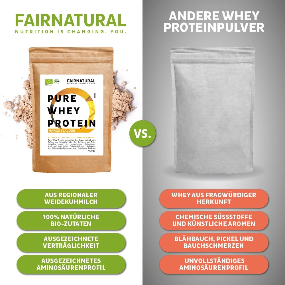 Mango in polvere di proteine del siero di latte biologico