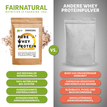 Mango in polvere di proteine del siero di latte biologico